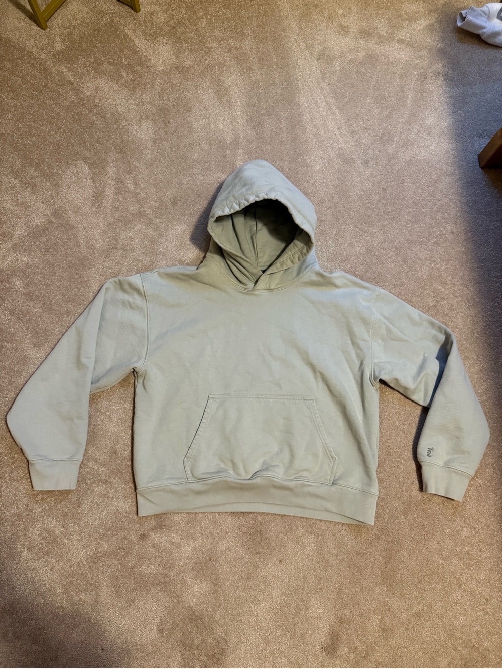 Aritzia hoodie